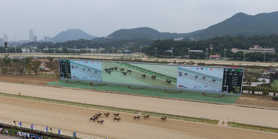 서울 경마장에서 경기가 진행되고 있다